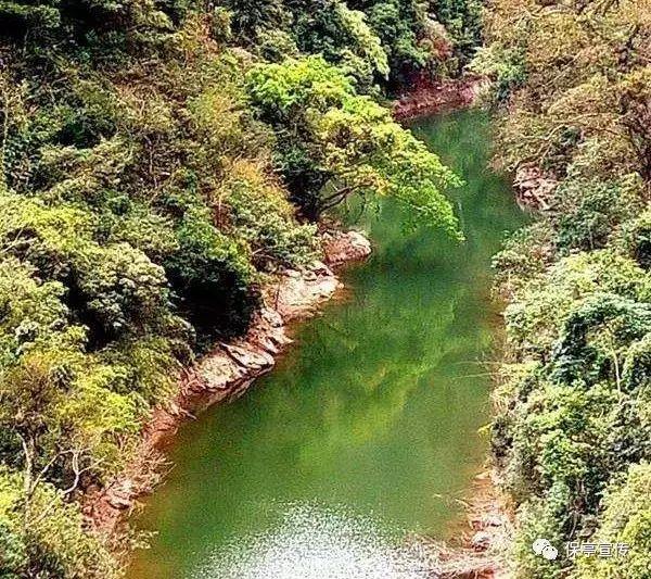 探索国企员工周劼因在朋友圈“炫富”“秀后台”引发网友关注,你怎么看?热门话题 - 专属红迪网社区讨论平台
